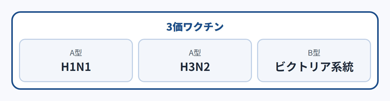 3価ワクチン：A型 H1N1・A型 H3N2・B型 ビクトリア系統