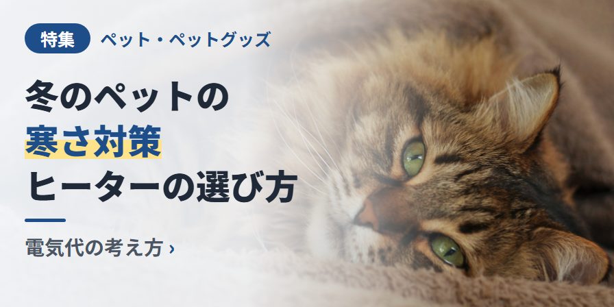 冬のペットの 寒さ対策 ヒーターの選び方 電気代の考え方