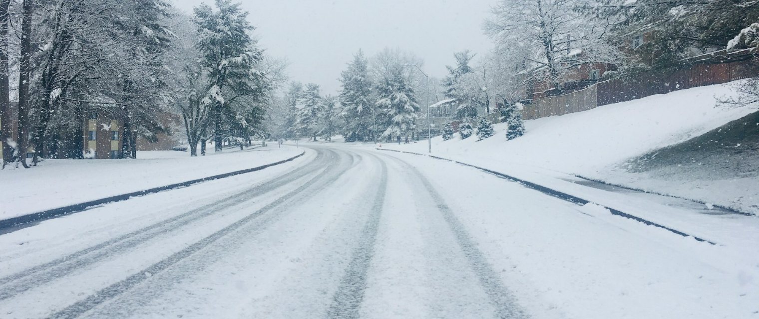 雪の積もった木々の間の道と、タイヤの跡